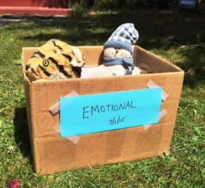 Emotional Clutter Box